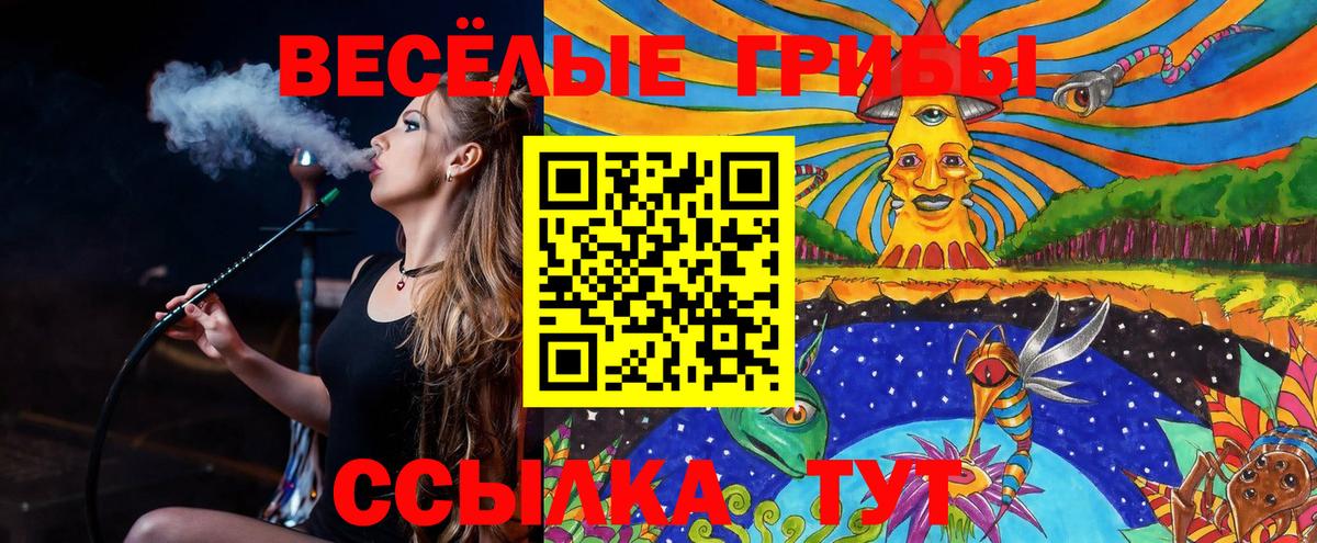 Галлюциногенные грибы мицелий Гулькевичи